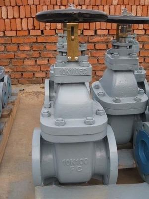 صمام بوابة الحديد الصلب البحري JIS F7364 10K DN50--DN400