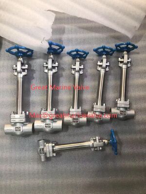 صمام الكرة الأرضية المبرد طويل الساق SUS، فولاذ مصبوب -196